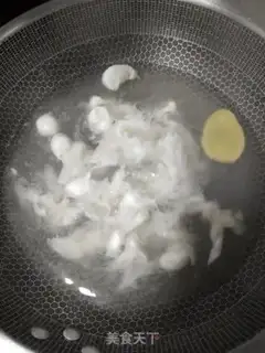 Make Squidfish step 1