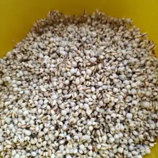 Make Roast rice step 0