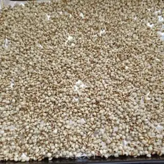 Make Roast rice step 1