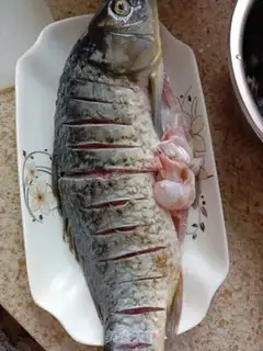 Make Carp