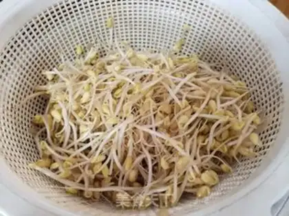 Make Soybeans sprouts, soy sauce step 3