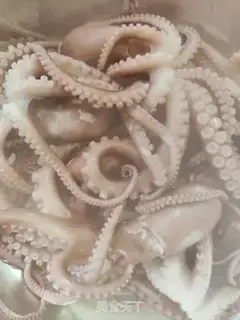 Make Spicy octopus step 0