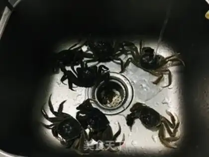 Make Crabs evaporating rice fields step 0