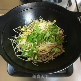 Make Pyramid sprouts step 2
