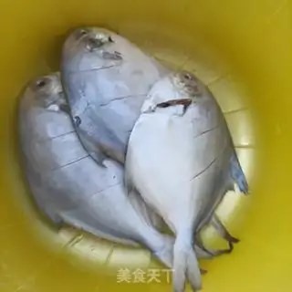 Make A silverfish step 1