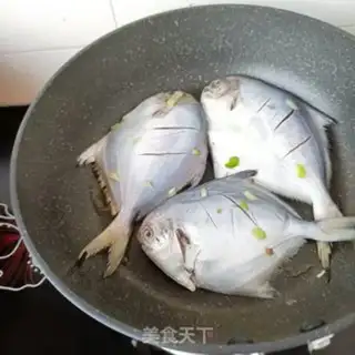 Make A silverfish step 6