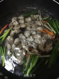Make The white snail step 2