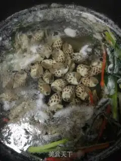 Make The white snail step 3
