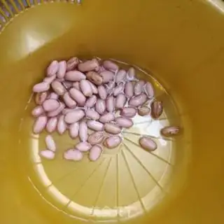 Make The peanuts burn the tail step 2
