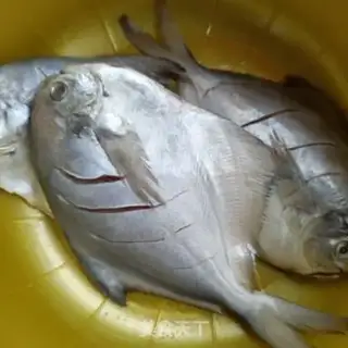 Make Silverfish step 0