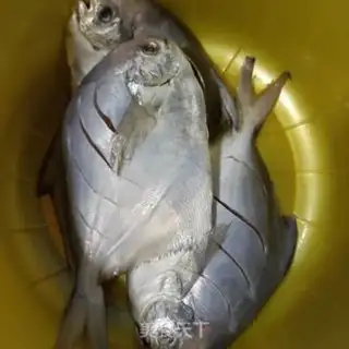 Make Silverfish step 1
