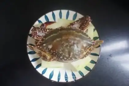 Make Krabs willows step 2