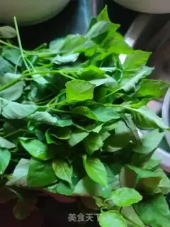 Make Sprouts step 0