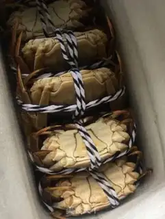 Make Crabs step 0