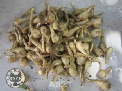 Make A pepper cutter step 0