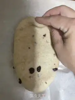 Make All wheat cranberry bread step 8