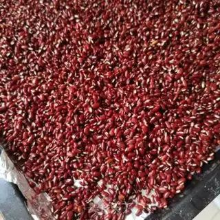 Make Baking red beans step 1