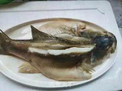 Make Vacuate herring step 7