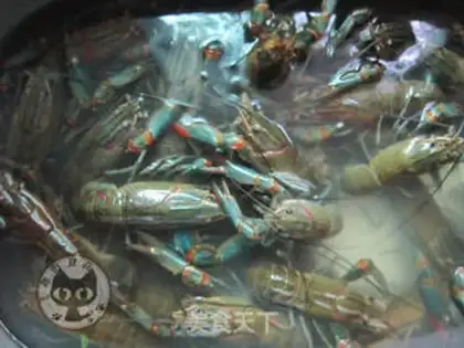 Make Garlic lobster step 0