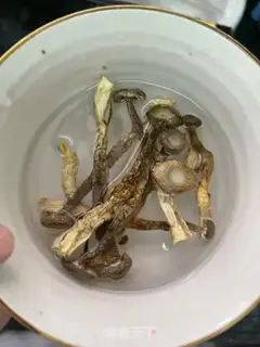 Make Chicken soup for deer mushrooms step 0
