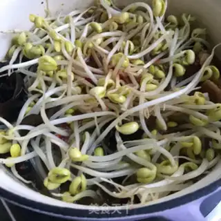 Make Soybean sprouts step 7