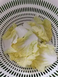 Make Noodles for radish step 2