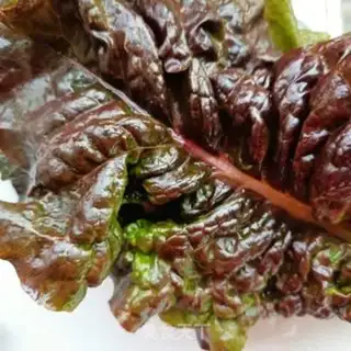 Make The raw beef sandwich step 1