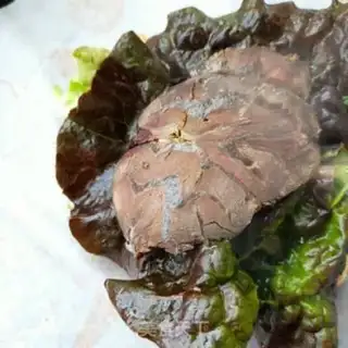 Make The raw beef sandwich step 7