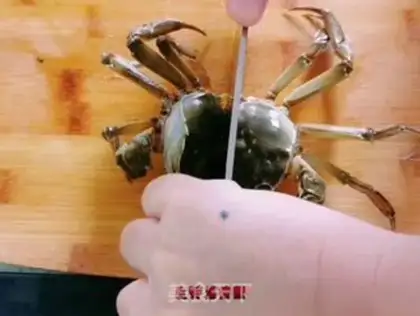 Make Taste crabs step 0