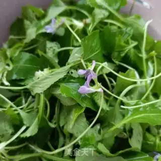 Make Eggs and vervain step 2