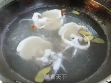 Make A saliva squid step 8