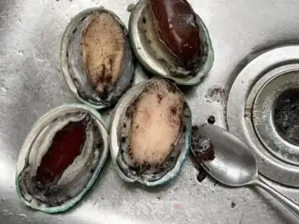 Make Abalone geled chicken chest step 2