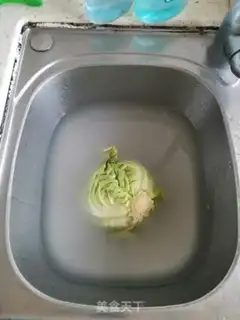 Make The cabbage step 0