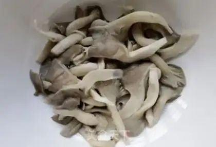 Make Bean sprouts step 1