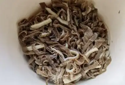 Make Bean sprouts step 3