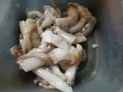 Make New squid, soybean bud step 1