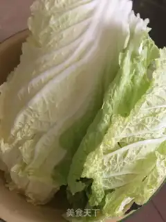 Make The cabbage stew step 0