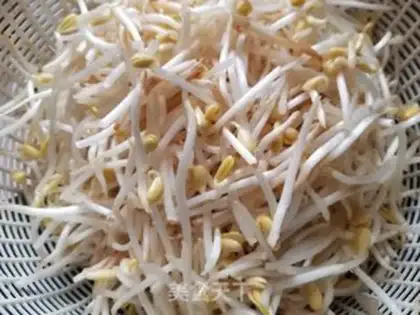 Make New squid, soybean bud step 5