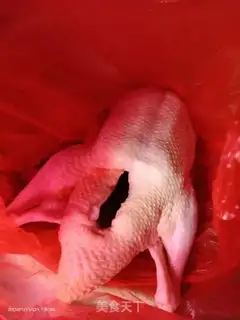 Make Duck step 0