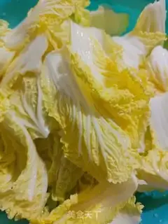 Make A cabbage stew fan step 2