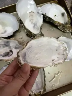 Make Garlic fan steams step 7
