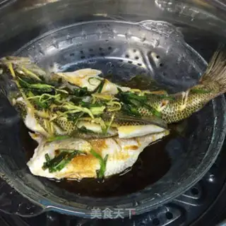 Make Vacuate herring step 5