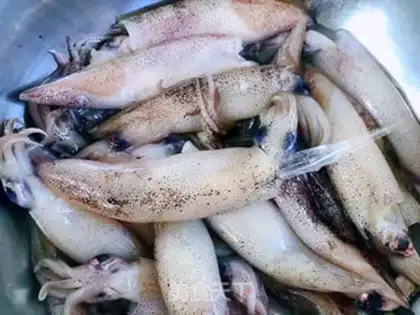 Make Burning little squid step 1