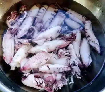 Make Burning little squid step 7