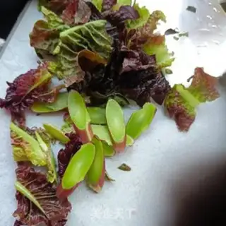 Make The egg salad step 2