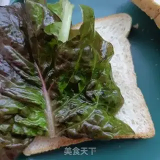 Make A ham sandwich step 5