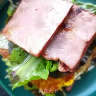 Make A ham sandwich step 11