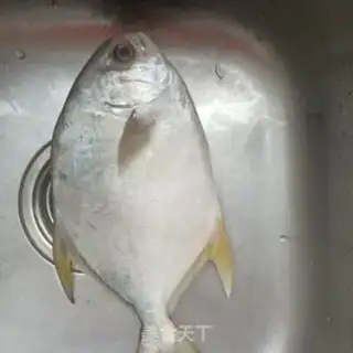 Make A goldfish step 0