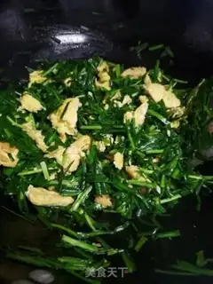 Make Cricket step 5
