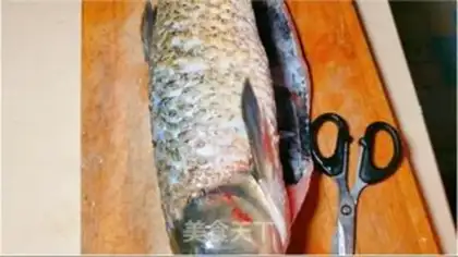 Make Precious, fresh fish step 0